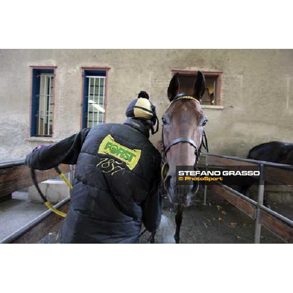 a shower for Sharstar at Borgo Andreina by Raffaele Romano Merano Maia, 24th sept. 2009 ph. Stefano Grasso