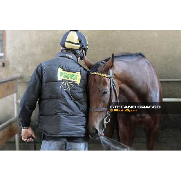 Sharstar plays with Raffaele Romano showering him after morning works at Borgo Andreina Merano Maia, 24th sept. 2009 ph. Stefano Grasso