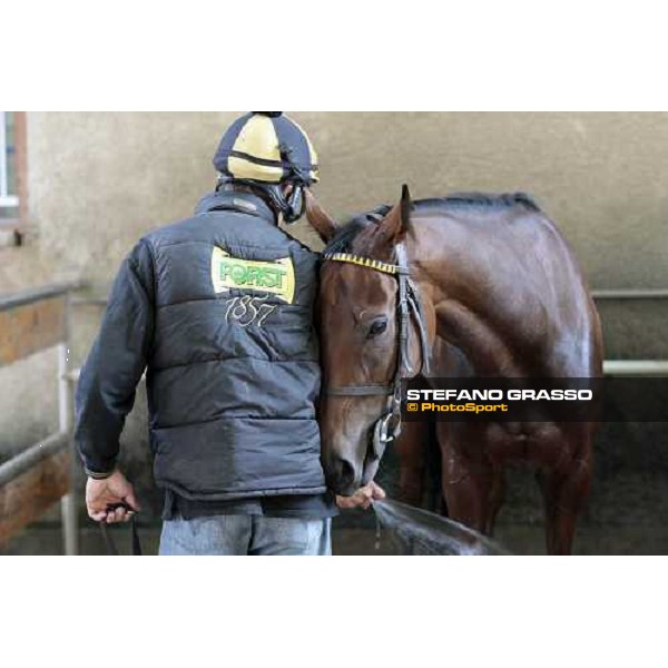 Sharstar plays with Raffaele Romano showering him after morning works at Borgo Andreina Merano Maia, 24th sept. 2009 ph. Stefano Grasso
