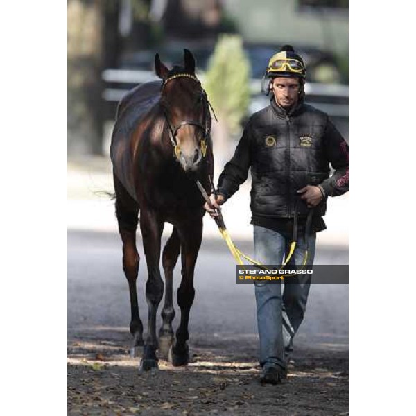 Raffaele Romano walking with Sharstar after morning works at Borgo Andreina Merano Maia, 24th sept. 2009 ph. Stefano Grasso