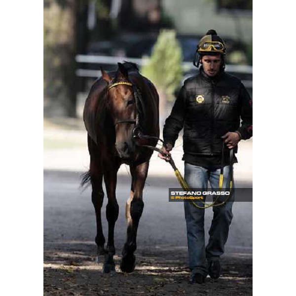 Sharstar and Raffaele Romano walking after morning works at Borgo Andreina Merano Maia, 24th sept. 2009 ph. Stefano Grasso
