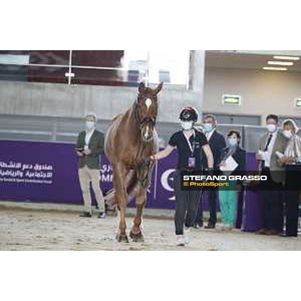 CHI of DOHA - vet check para-dressage - DOHA, Al Shaqab - 24 February 2021 - ph.Stefano Grasso/CHI Al Shaqab 2021