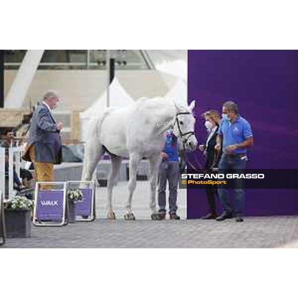 CHI of DOHA - CSI5* Horses Vet Check - DOHA, Al Shaqab - 24 February 2021 - ph.Stefano Grasso/CHI Al Shaqab 2021