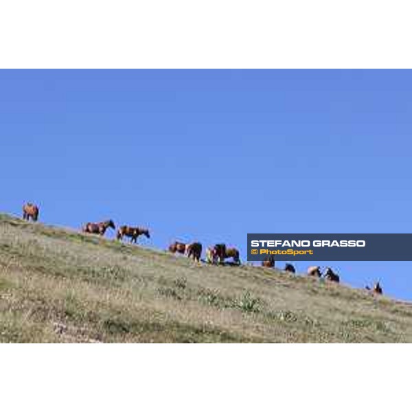 A day at Gran Sasso d’Italia CAI TPR Campo Imperatore (AQ), 28 June 2021 Ph.Stefano Grasso