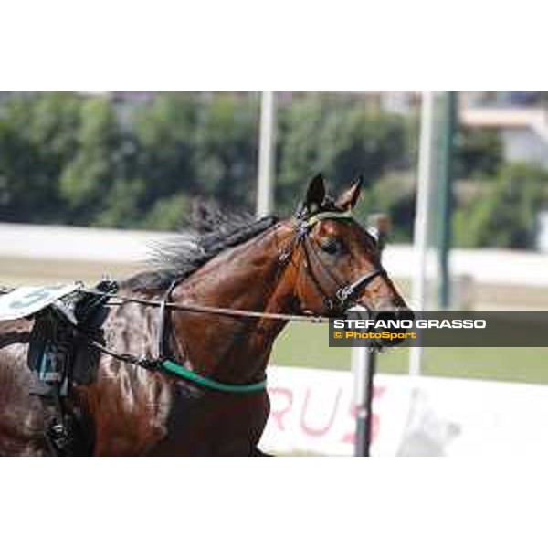 Alessandro Gocciadoro and Alrajah One wins the 2nd heat of 72° Gran Premio Lotteria Napoli - Agnano, 3 October 2021 Ph. Stefano Grasso/Ippodromi Partenopei