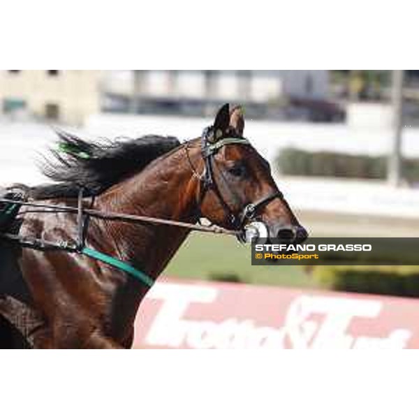 Alessandro Gocciadoro and Alrajah One wins the 2nd heat of 72° Gran Premio Lotteria Napoli - Agnano, 3 October 2021 Ph. Stefano Grasso/Ippodromi Partenopei
