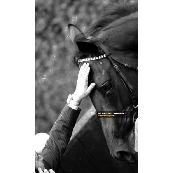 a caress to Kidnapping by Stefano Botti Milano San Siro, 11th oct. 2009 ph. Stefano Grasso