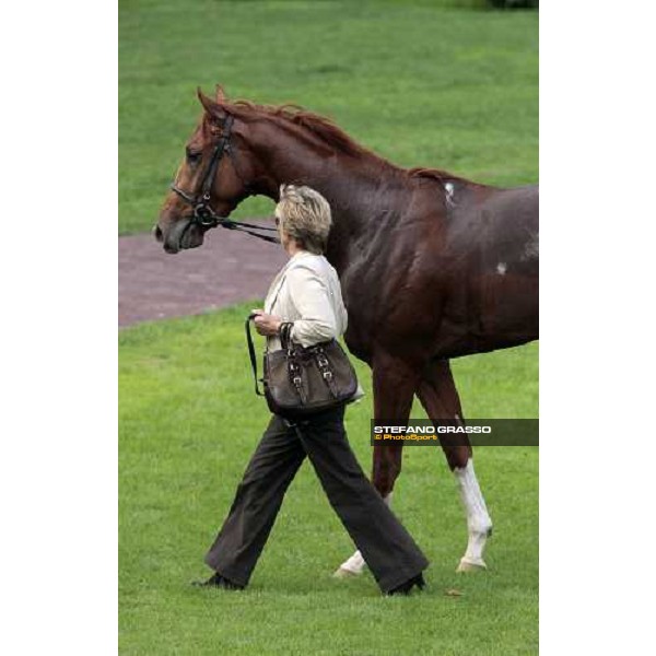 Franca Vittadini and Island Calm Milano San Siro, 11th oct. 2009 ph. Stefano Grasso