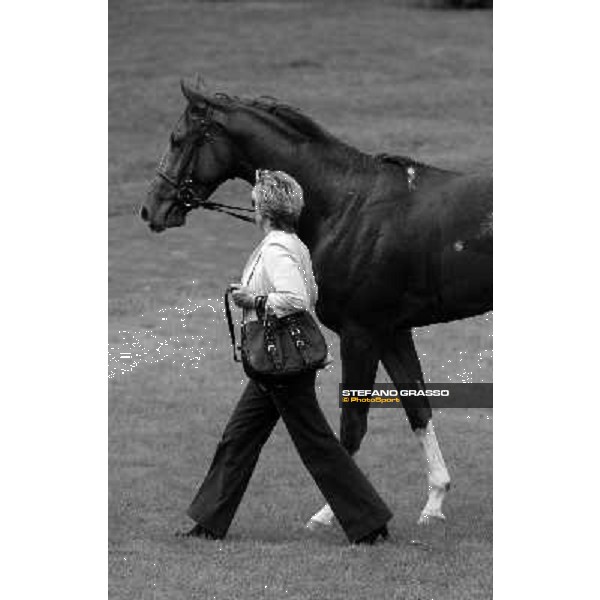 Franca Vittadini and Island Calm Milano San Siro, 11th oct. 2009 ph. Stefano Grasso