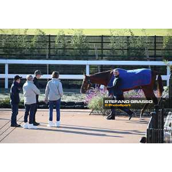 Japan Cup of Tokyo - - Tokyo, Fuchu racecourse - 25 November 2022 - ph.Stefano Grasso/Longines/Japan Cup Pieter Schiergen and Tunnes walking in the quarantine stable