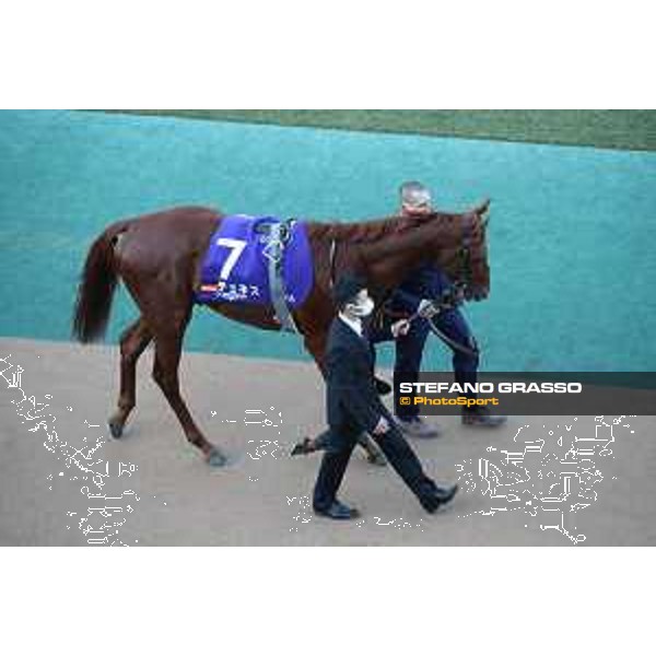 Japan Cup of Tokyo - - Tokyo, Fuchu racecourse Tunnes - 27 November 2022 - ph.Stefano Grasso/Longines/Japan Cup