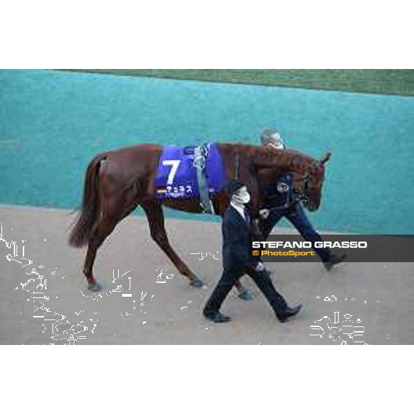 Japan Cup of Tokyo - - Tokyo, Fuchu racecourse Tunnes - 27 November 2022 - ph.Stefano Grasso/Longines/Japan Cup