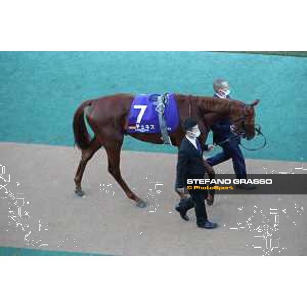 Japan Cup of Tokyo - - Tokyo, Fuchu racecourse Tunnes - 27 November 2022 - ph.Stefano Grasso/Longines/Japan Cup