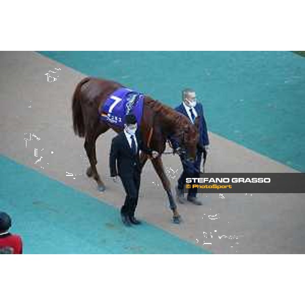 Japan Cup of Tokyo - - Tokyo, Fuchu racecourse Tunnes - 27 November 2022 - ph.Stefano Grasso/Longines/Japan Cup