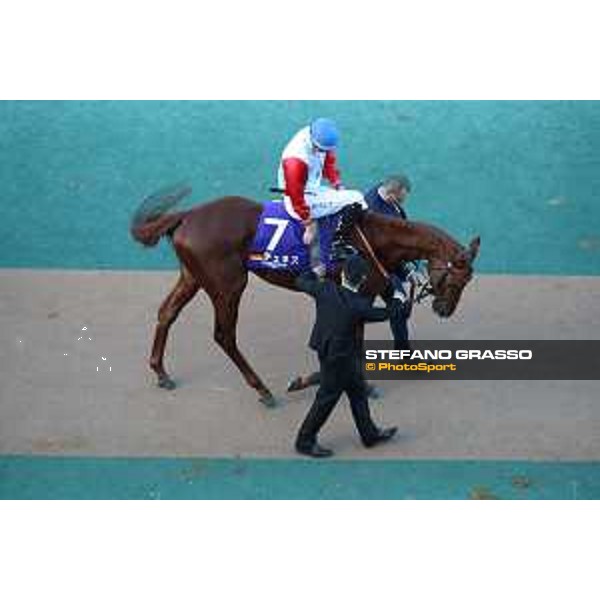 Japan Cup of Tokyo - - Tokyo, Fuchu racecourse Tunnes - 27 November 2022 - ph.Stefano Grasso/Longines/Japan Cup