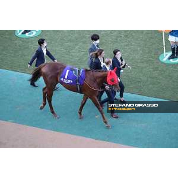 Japan Cup of Tokyo - - Tokyo, Fuchu racecourse Simca Mille in the paddock of the 42nd Japan Cup - 27 November 2022 - ph.Stefano Grasso/Longines/Japan Cup