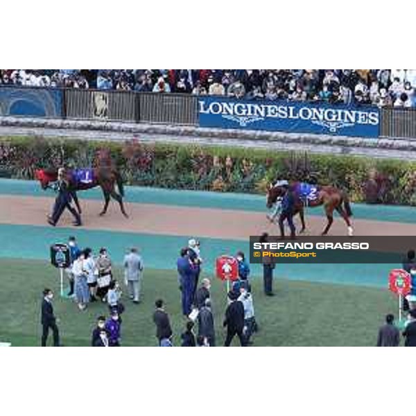 Japan Cup of Tokyo - - Tokyo, Fuchu racecourse Simca Mille and Onesrto in the paddock of the 42nd Japan Cup - 27 November 2022 - ph.Stefano Grasso/Longines/Japan Cup