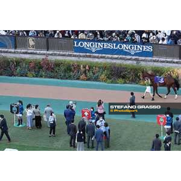Japan Cup of Tokyo - - Tokyo, Fuchu racecourse Grand Glory in the paddock of the 42nd Japan Cup - 27 November 2022 - ph.Stefano Grasso/Longines/Japan Cup