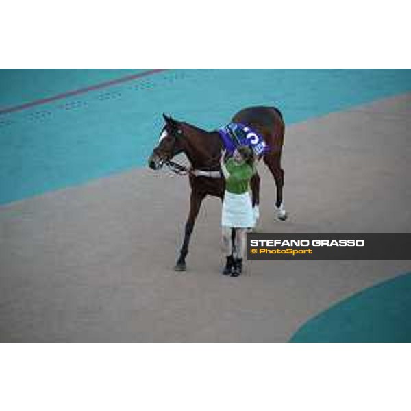 Japan Cup of Tokyo - - Tokyo, Fuchu racecourse Grand Glory in the paddock of the 42nd Japan Cup - 27 November 2022 - ph.Stefano Grasso/Longines/Japan Cup
