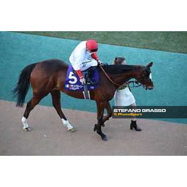 Japan Cup of Tokyo - - Tokyo, Fuchu racecourse Maxime Guyon on Grand Grand Glory - 27 November 2022 - ph.Stefano Grasso/Longines/Japan Cup