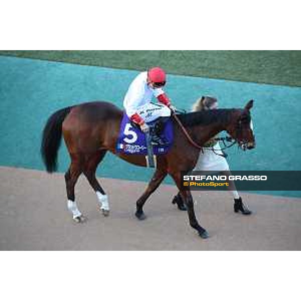 Japan Cup of Tokyo - - Tokyo, Fuchu racecourse Maxime Guyon on Grand Grand Glory - 27 November 2022 - ph.Stefano Grasso/Longines/Japan Cup