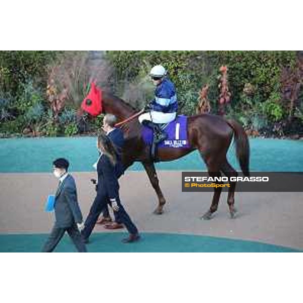 Japan Cup of Tokyo - - Tokyo, Fuchu racecourse Simca Mille - 27 November 2022 - ph.Stefano Grasso/Longines/Japan Cup