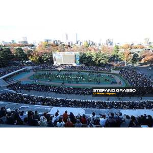 42nd Japan Cup 2022 - Tokyo, Fuchu racecourse The paddock of the 42nd Japan Cup - ph.Stefano Grasso/Longines - 02SG6911.JPG