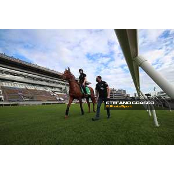 LHKIR 2022 of Hong Kong - - Hong Kong, Sha Tin racecourse Morning track works at Sha Tin racecourse - Bubble Gift - 7 December 2022 - ph.Stefano Grasso/Longines/LHKIR 2022