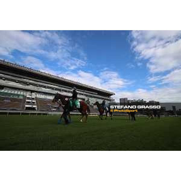 LHKIR 2022 of Hong Kong - - Hong Kong, Sha Tin racecourse Morning track works at Sha Tin racecourse - Japanese contenders - 7 December 2022 - ph.Stefano Grasso/Longines/LHKIR 2022