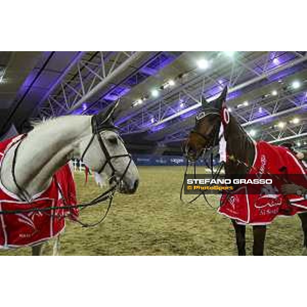 LGCT of DOHA 2023 - Doha, Al Shaqab 03/03/23 - ph.Stefano Grasso/LGCT-GCL - LGCT Doha_03-155_PrizeGiving_20230303_02SG0221.JPG