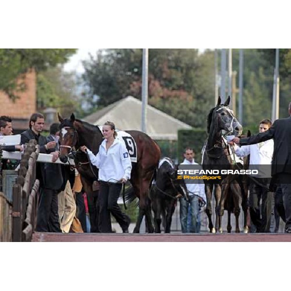 Nashmiah and Night Magic parade before the start of the Premio Lydia Tesio Shadwell Rome Capanannelle, 25th oct. 2009 Ph.Stefano Grasso