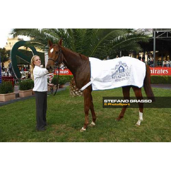 Eva\'s Request stands with her groom after winning the Premio Lydia Tesio Shadwell Rome Capanannelle, 25th oct. 2009 Ph.Stefano Grasso