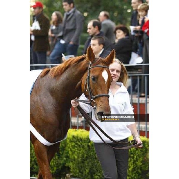 Eva\'s Request walks with her groom after winning the Premio Lydia Tesio Shadwell Rome Capanannelle, 25th oct. 2009 Ph.Stefano Grasso