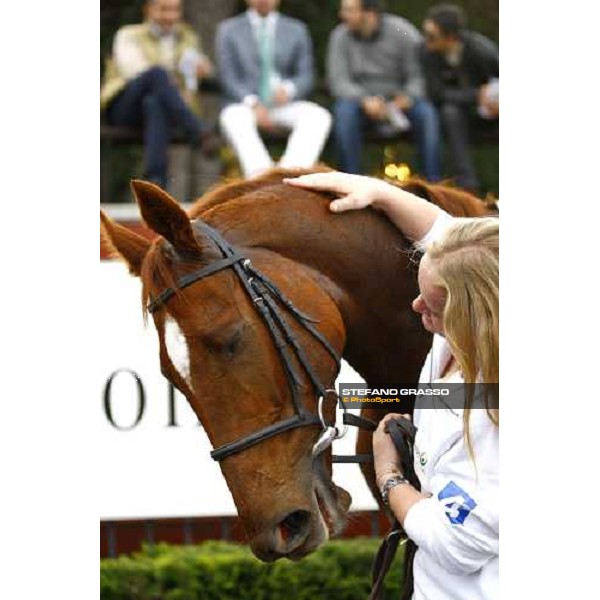 Eva\'s Request with her groom after winning the Premio Lydia Tesio Shadwell Rome Capanannelle, 25th oct. 2009 Ph.Stefano Grasso
