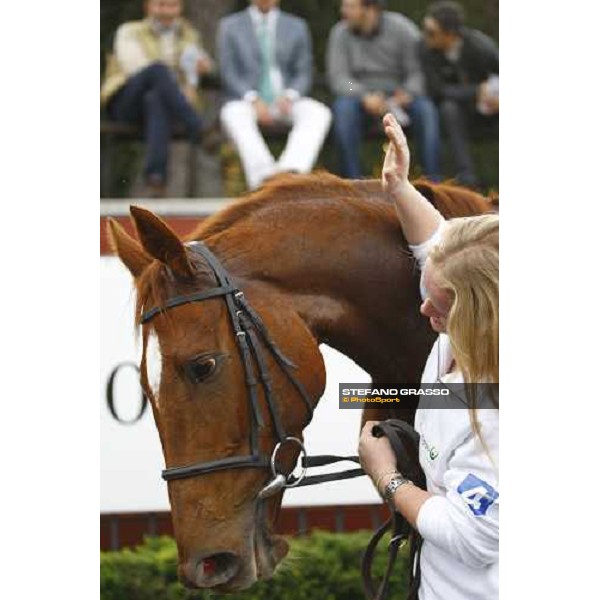Eva\'s Request with her groom after winning the Premio Lydia Tesio Shadwell Rome Capanannelle, 25th oct. 2009 Ph.Stefano Grasso