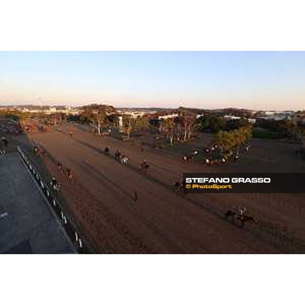 Japan Cup of Tokyo - - Tokyo, Fuchu Racecourse - 23 November 2023 - ph.Stefano Grasso/Longines A morning at MIHO training center