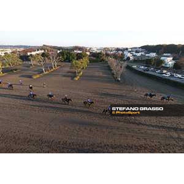 Japan Cup of Tokyo - - Tokyo, Fuchu Racecourse - 23 November 2023 - ph.Stefano Grasso/Longines A morning at MIHO training center