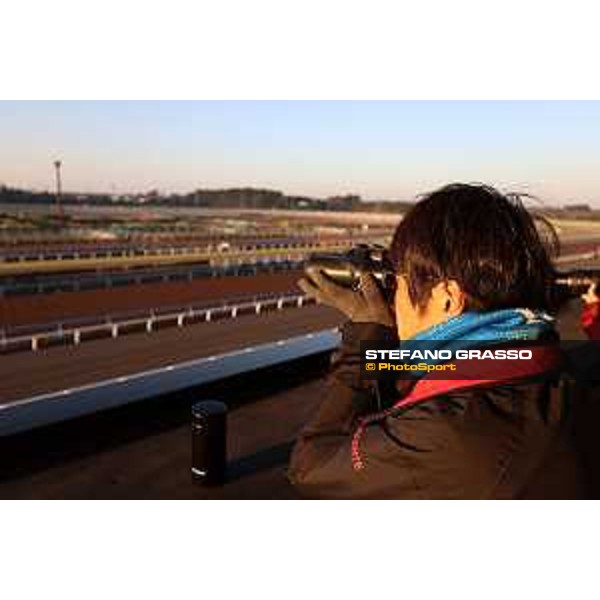Japan Cup of Tokyo - - Tokyo, Fuchu Racecourse - 24 November 2023 - ph.Stefano Grasso/Longines A morning at MIHO training center