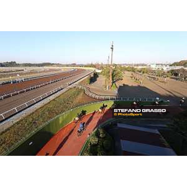 Japan Cup of Tokyo - - Tokyo, Fuchu Racecourse - 24 November 2023 - ph.Stefano Grasso/Longines A morning at MIHO training center