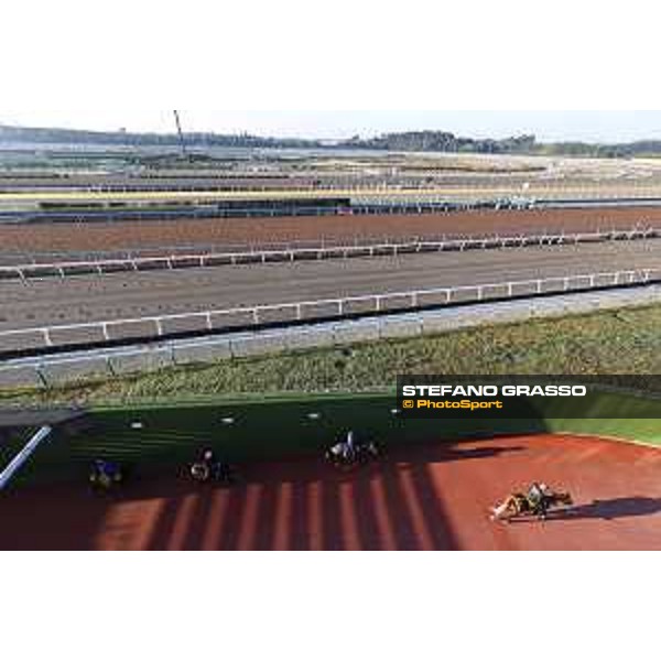 Japan Cup of Tokyo - - Tokyo, Fuchu Racecourse - 24 November 2023 - ph.Stefano Grasso/Longines A morning at MIHO training center