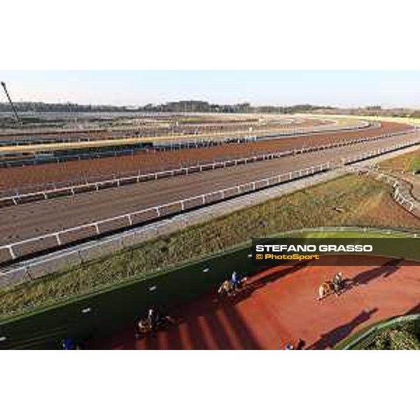 Japan Cup of Tokyo - - Tokyo, Fuchu Racecourse - 24 November 2023 - ph.Stefano Grasso/Longines A morning at MIHO training center