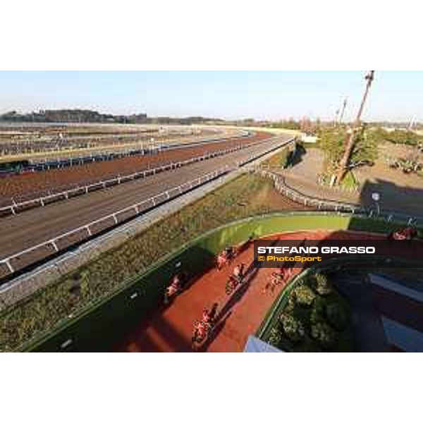 Japan Cup of Tokyo - - Tokyo, Fuchu Racecourse - 24 November 2023 - ph.Stefano Grasso/Longines A morning at MIHO training center