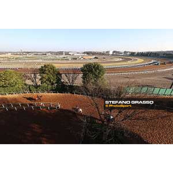 Japan Cup of Tokyo - - Tokyo, Fuchu Racecourse - 24 November 2023 - ph.Stefano Grasso/Longines A morning at MIHO training center