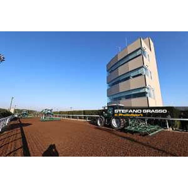 Japan Cup of Tokyo - - Tokyo, Fuchu Racecourse - 24 November 2023 - ph.Stefano Grasso/Longines A morning at MIHO training center