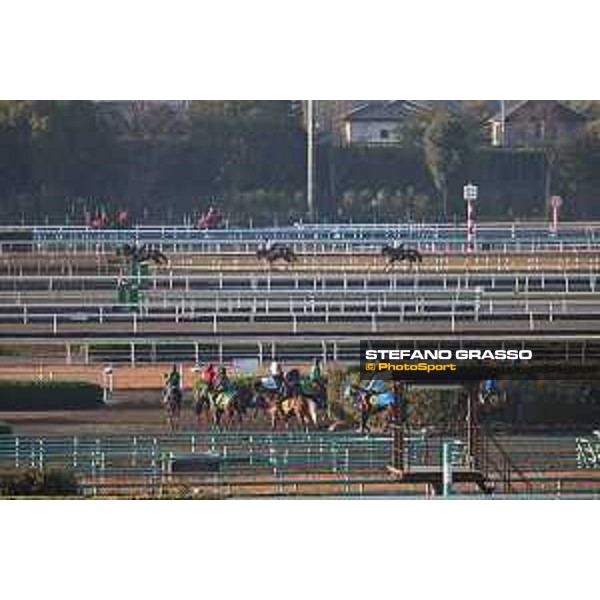 Japan Cup of Tokyo - - Tokyo, Fuchu Racecourse - 24 November 2023 - ph.Stefano Grasso/Longines A morning at MIHO training center