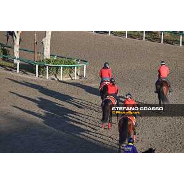 Japan Cup of Tokyo - - Tokyo, Fuchu Racecourse - 24 November 2023 - ph.Stefano Grasso/Longines A morning at MIHO training center