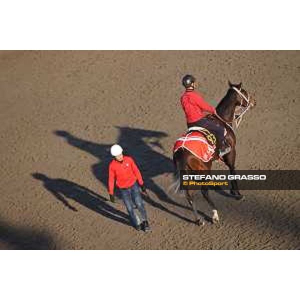 Japan Cup of Tokyo - - Tokyo, Fuchu Racecourse - 24 November 2023 - ph.Stefano Grasso/Longines A morning at MIHO training center