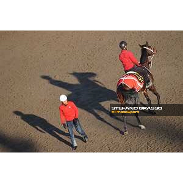 Japan Cup of Tokyo - - Tokyo, Fuchu Racecourse - 24 November 2023 - ph.Stefano Grasso/Longines A morning at MIHO training center