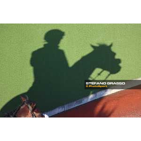 Japan Cup of Tokyo - - Tokyo, Fuchu Racecourse - 24 November 2023 - ph.Stefano Grasso/Longines A morning at MIHO training center