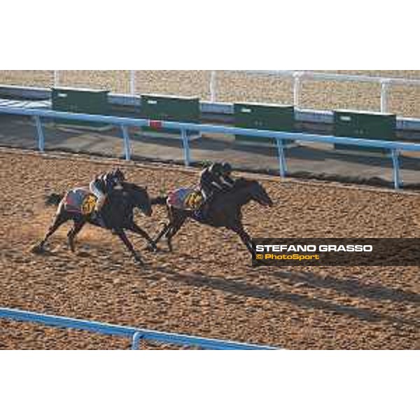 Japan Cup of Tokyo - - Tokyo, Fuchu Racecourse - 24 November 2023 - ph.Stefano Grasso/Longines A morning at MIHO training center